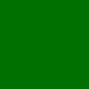 Ткань курточная Dewspo 240T WR/PA/Milky зеленый/S876 17-6153 ТР Y фото