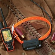 Система обнаружения собак с приемником DC320 Garmin Astro® DC 40 GPS фото