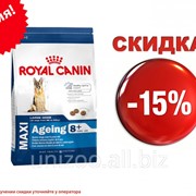 Сухой корм для собаки Royal Canin Maxi Ageing 8+ 15 кг фото