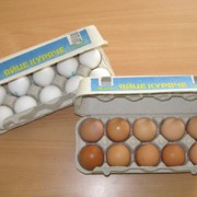 Яйца куриные КоКо-Економ