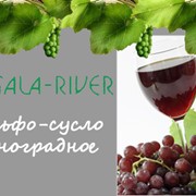 Сульфо-сусло виноградное