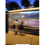 Страхование Киев цена фото