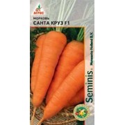 Морковь Санта Круз F1 фото