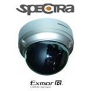 IP камера внутренняя SPECTRA SP-100 фото