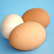 Яйца куриные С-1 отборка фото
