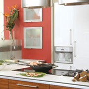 Модель Zebrano Мебель для кухни фото