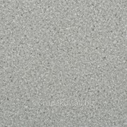 Рулонное ПВХ покрытие Durable Grand DU 90005-01 фото