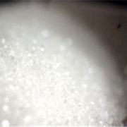 Сахар, сахар оптом фотография