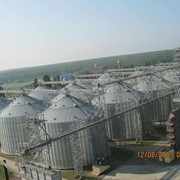 Услуги по подработке фото