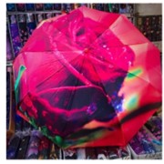 Зонт автомат женский с рисунком цветы красная роза фотография