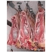 Мясо свинины замороженное производства Польши.