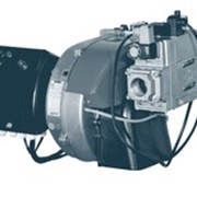 ГОРЕЛКА ГАЗОВАЯ ECOFLAM MAX GAS 500 PR TW фото