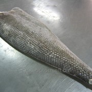 Филе масляной рыбы на шкурке 6+ фотография
