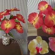 Букет орхидей 9 голов 40 см фото