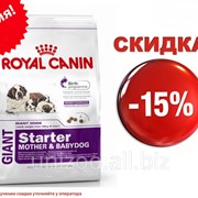 Сухой корм для щенков Royal Canin Giant Starter 15 кг фото