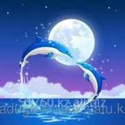Картинка стразами Два дельфина под луной 17х21 см фотография