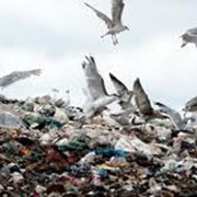 Оксизин для переработки бытового мусора, утилизация мусора с применением Оксизина фото
