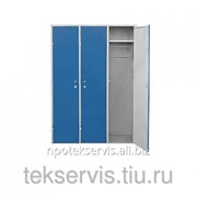 Металлический шкаф для одежды ШДО-1 исп 2 фотография