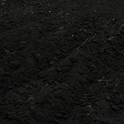 Чернозем от компании “ЕКОЗЕМ-УКРАЇНА“ - выбор опытных дачников!!! фото
