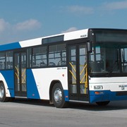 Автобусы MAN Lion's Classic A74