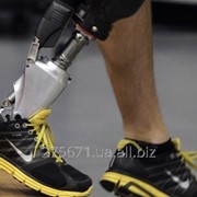 Медицинские макеты образцы исскусственных ног и рук для инвалидов фото
