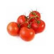 Переработка овощей :помидоры, производство томатной пасты фотография