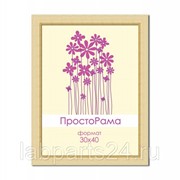 Фоторамка ПростоРама 30x40 513000-15 (12) фото