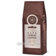 Кофе в зернах Lavazza KAFA 500г фото