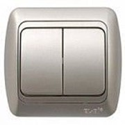 Выключатель ZIRVE 2-й SL-G серебристый с вставкой 501-1010-202 фото