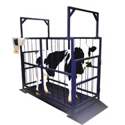 Весы для взвешивания скота до 1 т и до 2 т изменить удалить фото