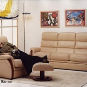 3-х местный диван BANZAI фотография