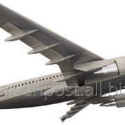 Экспресс доставка почтовых отправлений на самолете Туркестан - Риддер весом от 2,5 до 3,0 кг фото