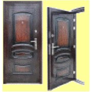 Дверь металлическая модель YD 870 фото