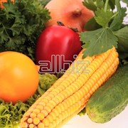 Овощи органические фото