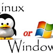 Установка и настройка ОС Windows, Linux фото