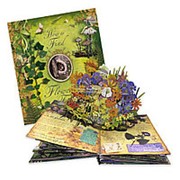 Сесиль Мэри Баркер «Как найти цветочную фею» книга-панорама на английском фотография