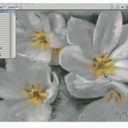 Курс профессионального рисование с помощью цифрового планшета Wacom, Genius фотография