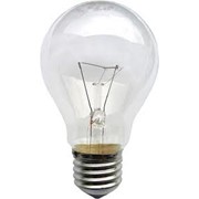Лампы накаливания, Лампы электрические осветительные. Лампа шар, Лампа свеча, Лампа свеча на ветру, Лампа свеча витая, Лампа свеча софт, Лампы D55, Лампа D50, Лампа грибовидная, Лампа пигми, Лампа рефлекторная, Лампа стандартная.