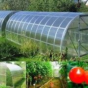 Теплица Урожай ПК 3х4м каркас+поликарбонат фото