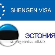 Виза в Эстонию, получение визы, оформление визы фотография