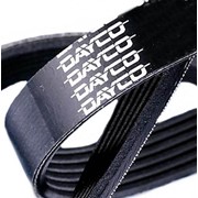 Ремень поликлиновый Dayco 6PK2475 фотография