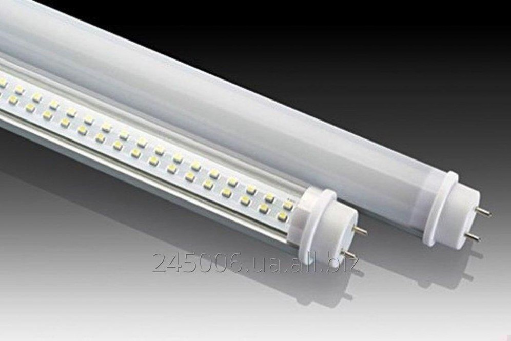 Светодиодная лампа т8 1200мм goled. Лампа люминесцентная трубка т12 с драйвером. T8 lamp. Лампа t8 g13 435. Люминесцентная лампа мухоловка.