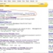 Контекстная рекламная кампания на Яндексе и поисковая оптимизация и продвижение (SEO) сайта Торгового дома СПОРТ