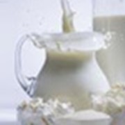 Молочно-белковая смесь Молпро М фото