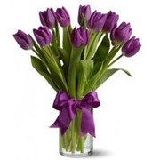 Тюльпаны фиолетовые ,продажа,поставка,реализация,заказать сейчас,Киев,Украина
