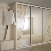 Шкаф-купе 05 фото