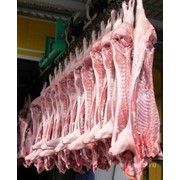 Экспорт мяса и замороженных мясопродуктов фотография