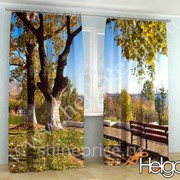 Золотая осень арт.ТФА3162 (145х275-2шт) фотошторы (штора Сатен ТФА) фото