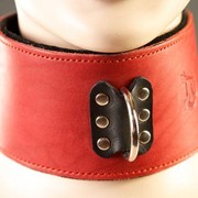 Красный кожаный ошейник на мягкой подкладке Подиум Р222а фотография