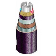 Силовые кабели с алюминиевыми жилами, с бумажной пропитанной изоляцией, в свинцовой оболочке, бронированные марок АСБ, АСБГ (ГОСТ 18410-73) фото